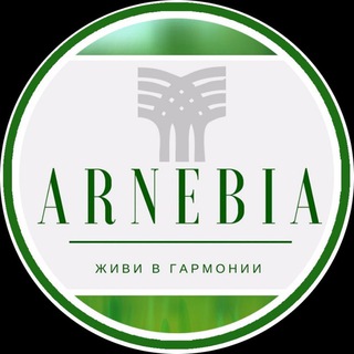 Логотип канала arnebiaofficial