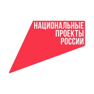 Логотип канала nationalprojects_chat