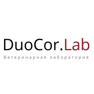 Логотип канала duocorlab