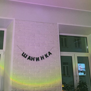 Логотип канала shaninka_library