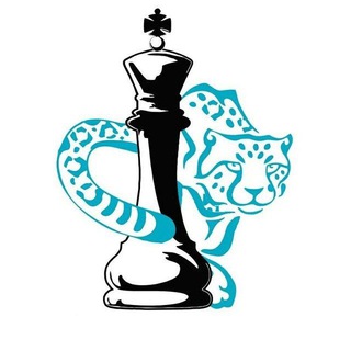 Логотип канала almatychess_kz