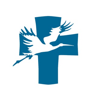 Логотип канала izborsk
