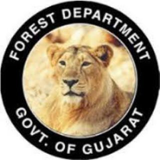 Логотип канала gujarat_forestguard