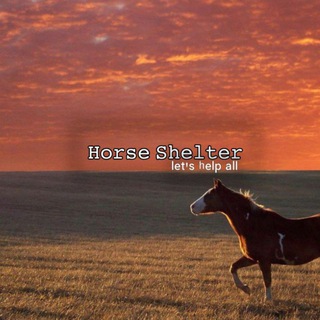 Логотип канала HorseShelter