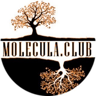 Логотип molecula_club_nmu_umsa