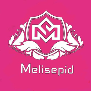 Логотип set_melisepid