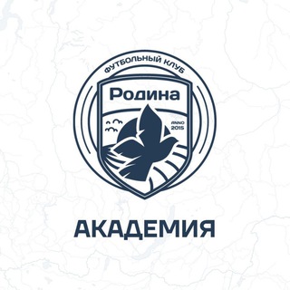 Логотип канала academyfcrodina