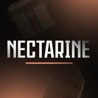 Логотип nectarine_ru