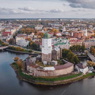 Логотип vyborg_polit