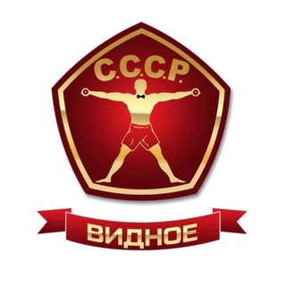 Логотип канала cccpvidnoe