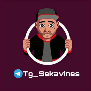 Логотип канала tg_sekavines