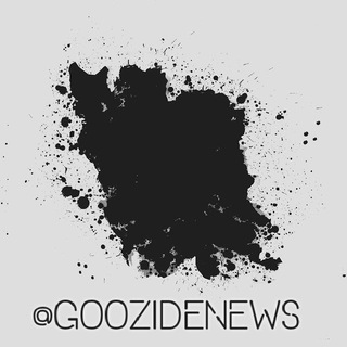 Логотип канала goozidenews