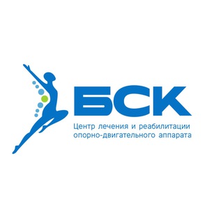 Логотип канала bsckrd