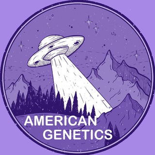 Логотип канала american_genetics