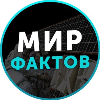 Логотип канала MirFacto