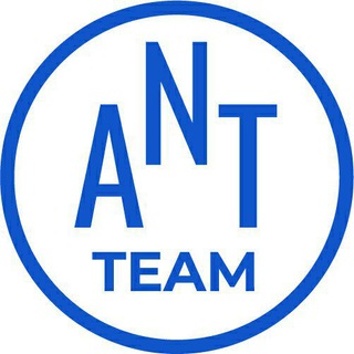 Логотип seoantteam