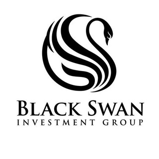 Логотип blackswan_research