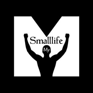 Логотип my_smalllife_17