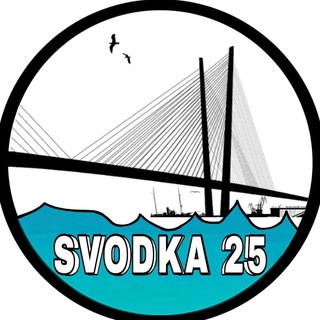 Логотип канала svodka25