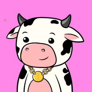 Логотип kindcow_finance