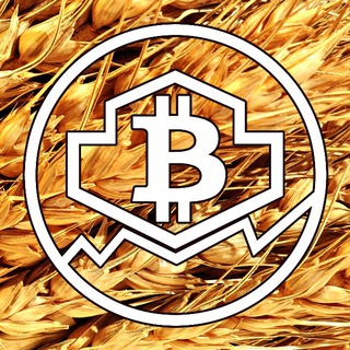 Логотип канала noahcryptoark_seed