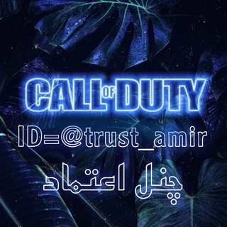 Логотип trust_amirr