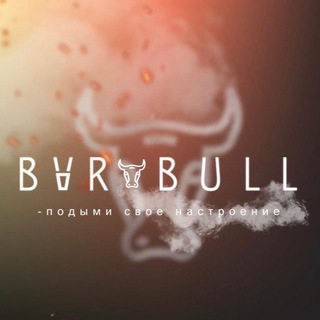 Логотип канала bvrbull