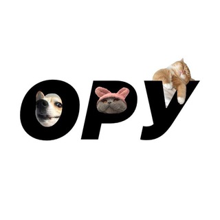 Логотип канала opyiopy