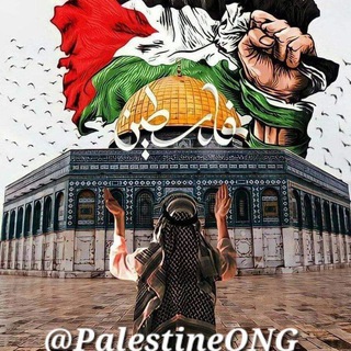 Логотип канала PalestineONG