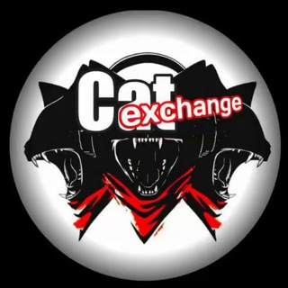 Логотип канала exchange_cat