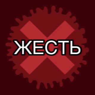 Логотип канала zhest_videotop