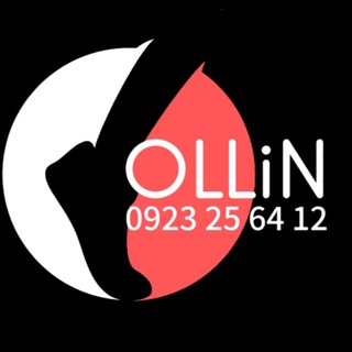 Логотип ollin101