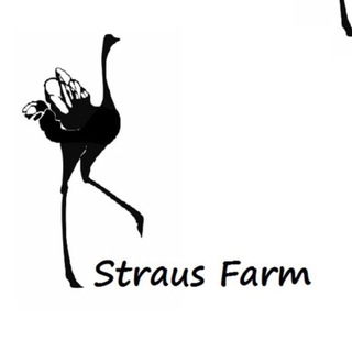 Логотип канала strausfarm