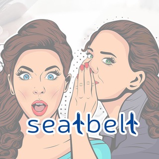 Логотип канала flight_attendant_seatbelt_school