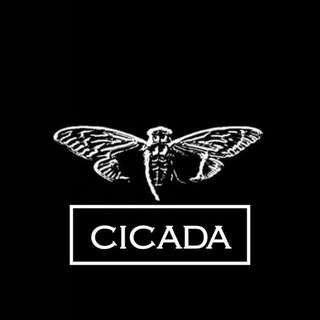 Логотип канала cicadaopt