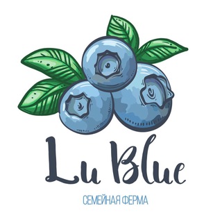 Логотип канала lublueberry