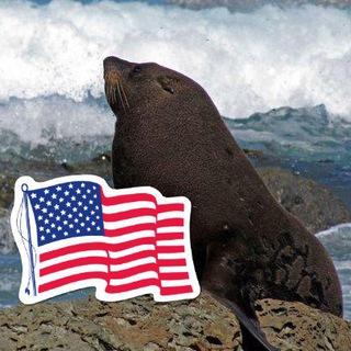 Логотип канала american_seal