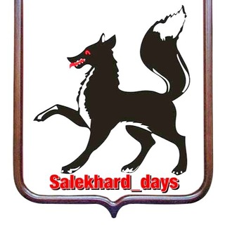 Логотип канала salekhard_days