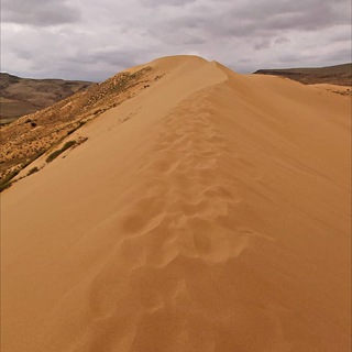 Логотип qadari_muridi