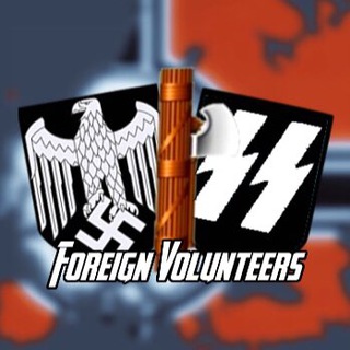 Логотип канала foreignvolunteers