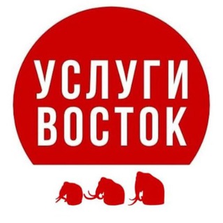 Логотип канала vostok_uslugi