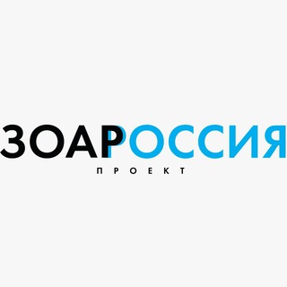 Логотип канала zoharscan