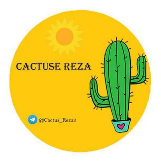 Логотип канала cactus_reza