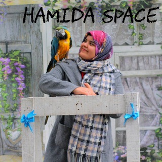 Логотип hamidaspace