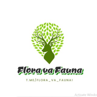 Логотип flora_va_fauna1