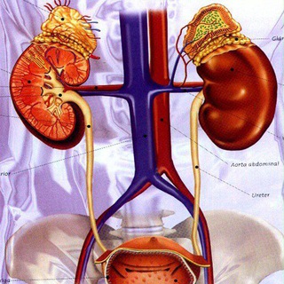 Логотип канала urology_spb