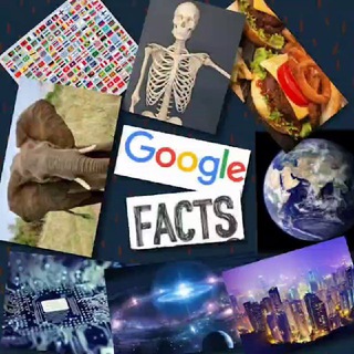 Логотип канала googlefactss