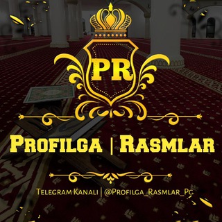 Логотип канала profilga_rasmlar_pg