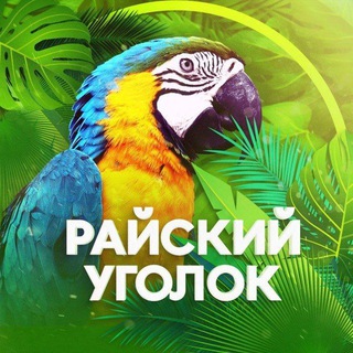 Логотип канала priroda_animals