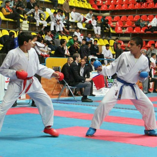 Логотип канала esfahan_karate